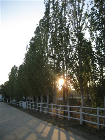 [IMG_6129.JPG]