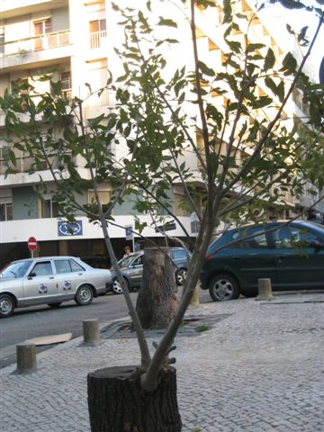 [IMG_6432.JPG]