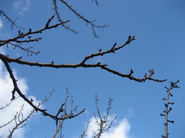 [IMG_6916.JPG]