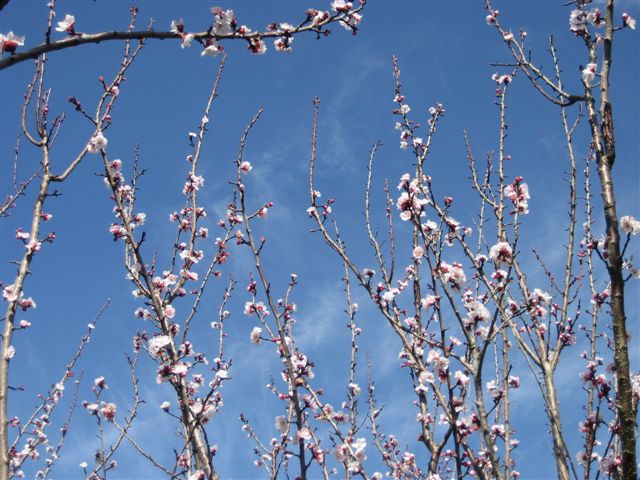 [IMG_7572.JPG]
