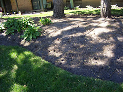 5/19/10 AFTER