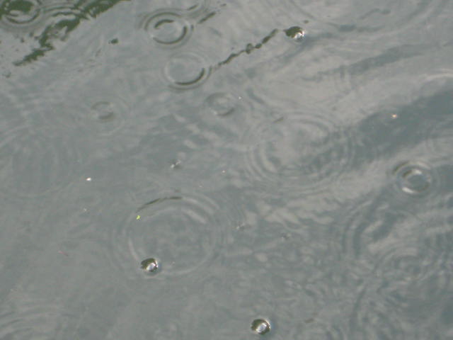 [IMG_0305.JPG]