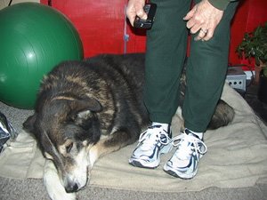 [lynn:sam:shoes.jpg]