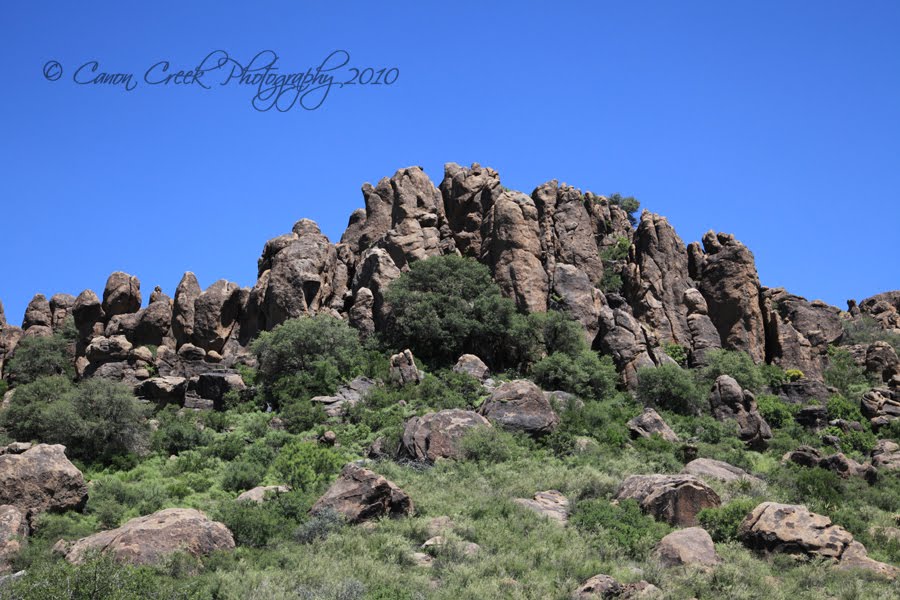 Canon Creek Photography Bloys Camp Meeting