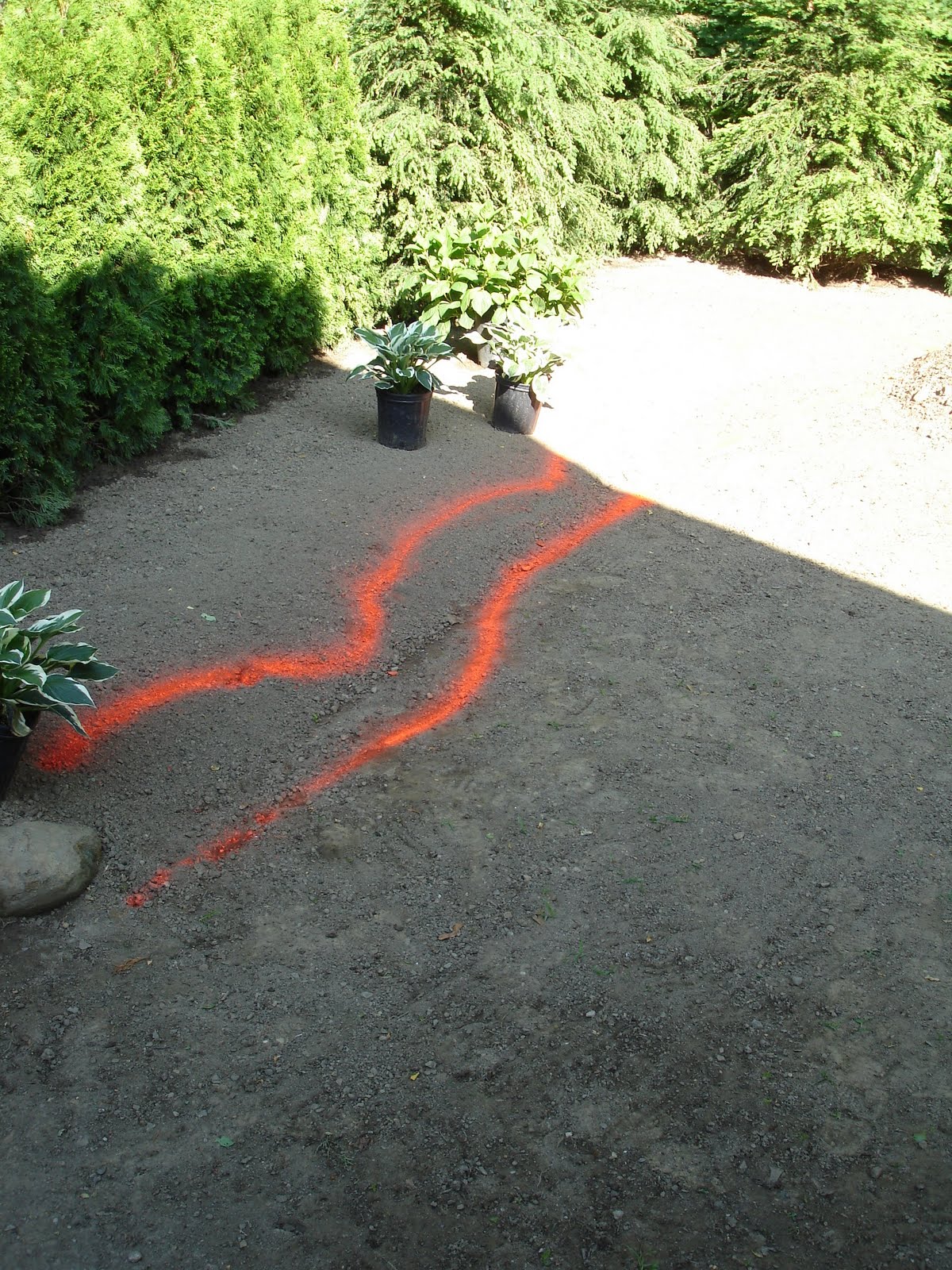 My Postage Stamp Garden