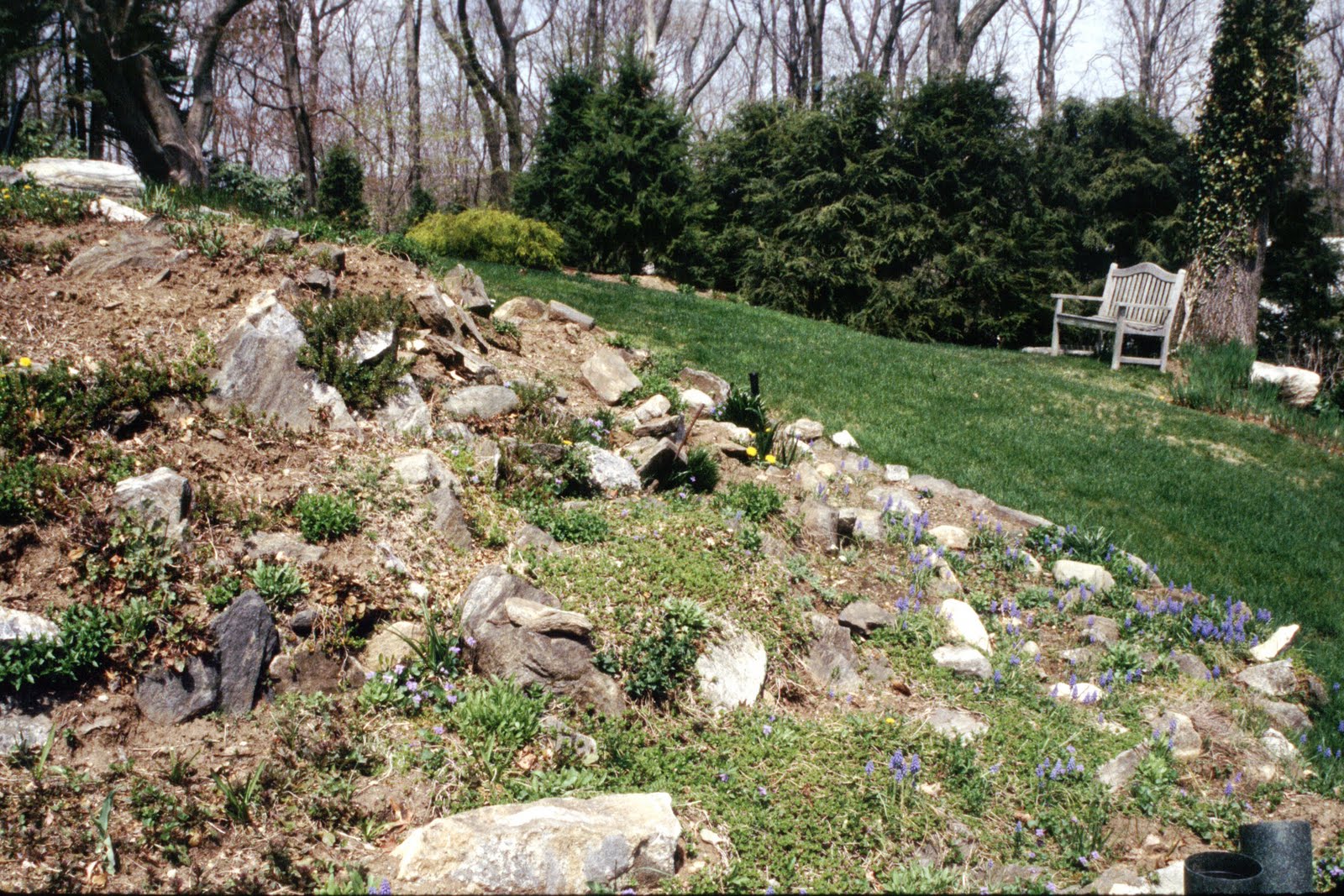 Although our rock garden could