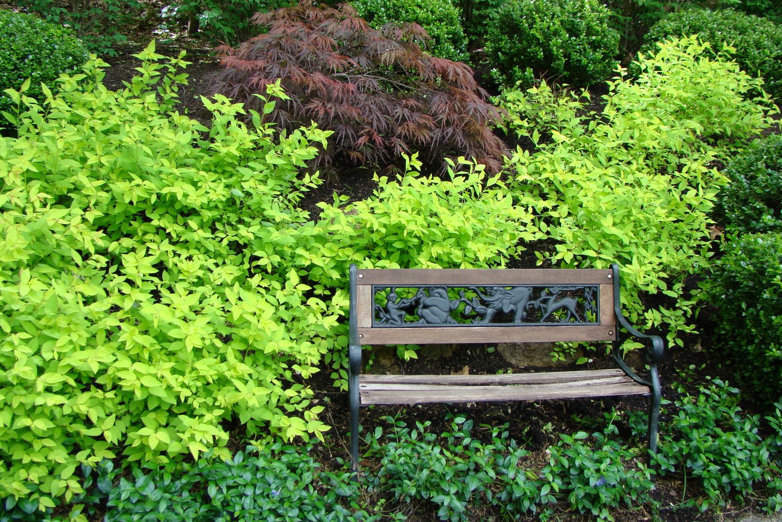 Creating a Serenity Garden why? how? NOW