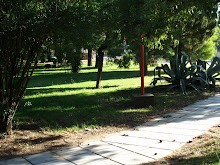Parque Benvenuto