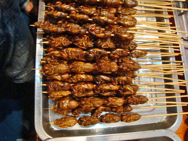 close-up of roasted cockroaches