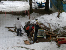 Our carport collapsed under the weight of all the snow