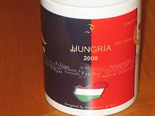 Taza Campeones Hungría 2008 (Super Amigui)