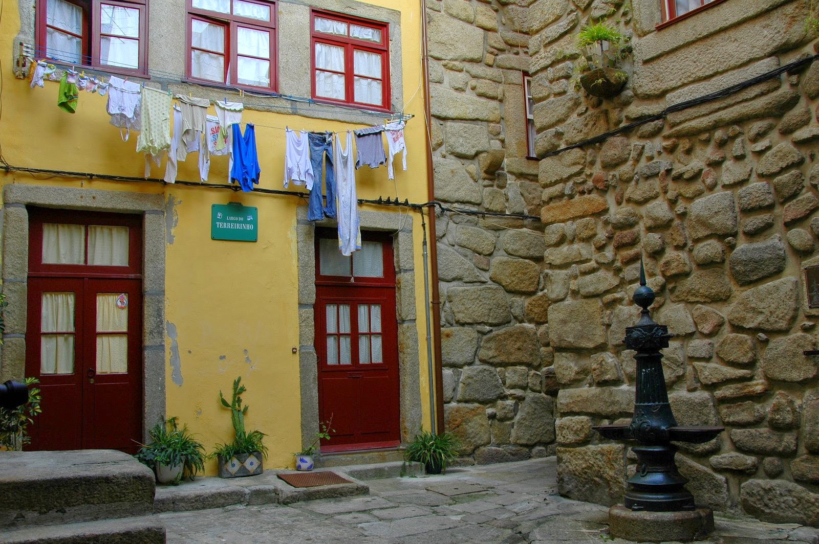 [DSC_9584.JPG]