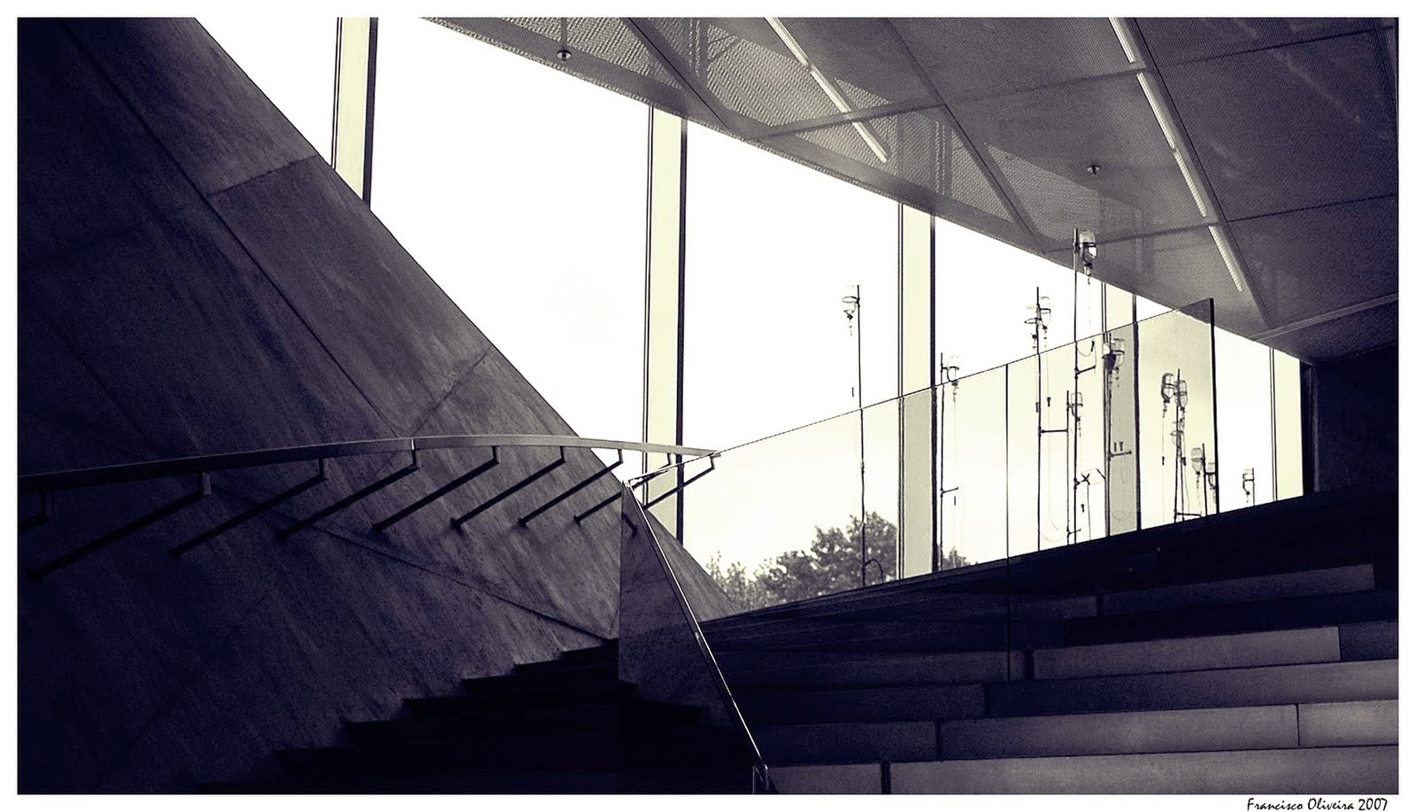 [DSC_5011pn.jpg]