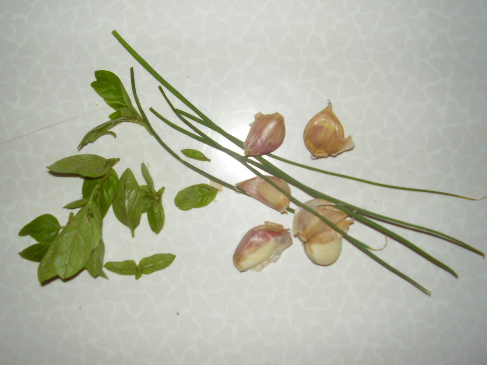 [P7260005.JPG]