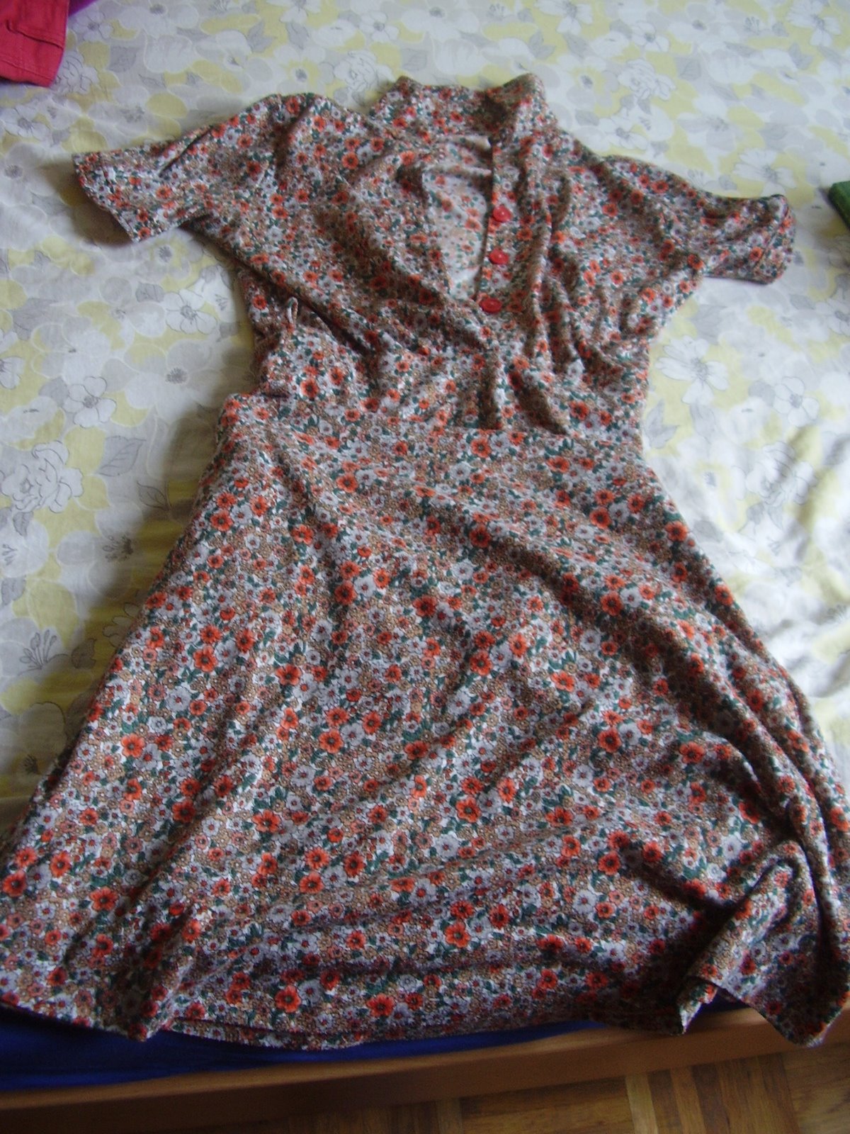 [P6220050.JPG]