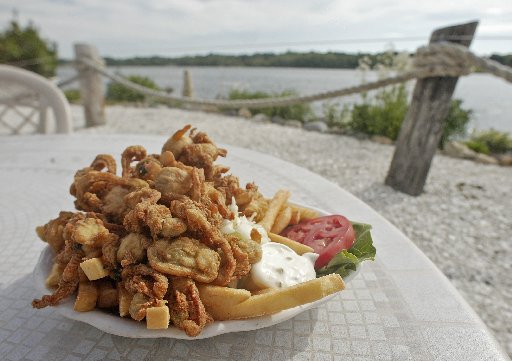 [CLAMSevelynAP.JPG]