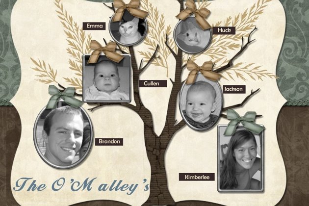 The O'Malley's