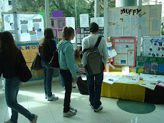 Projeto Jornal Mural