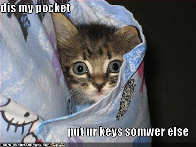 funny-pictures-kitten-asks-you-to-put-you-keys-somewhere-else.jpg