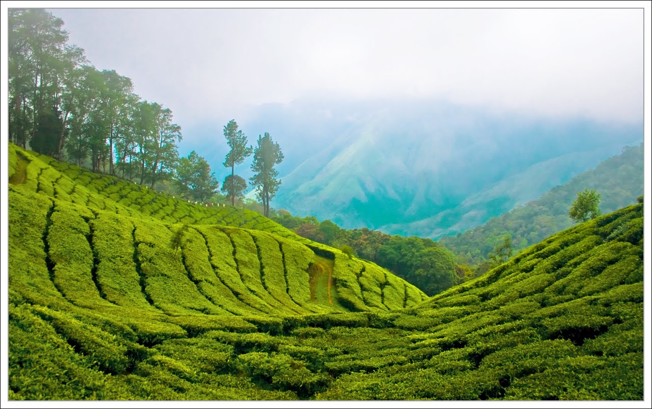 http://1.bp.blogspot.com/_6-HGWZYSfcI/TPTzC383hCI/AAAAAAAACCg/HTGZTgx3nmY/s1600/kerala%252Bnatural%252Bbeauty%252B14.jpg