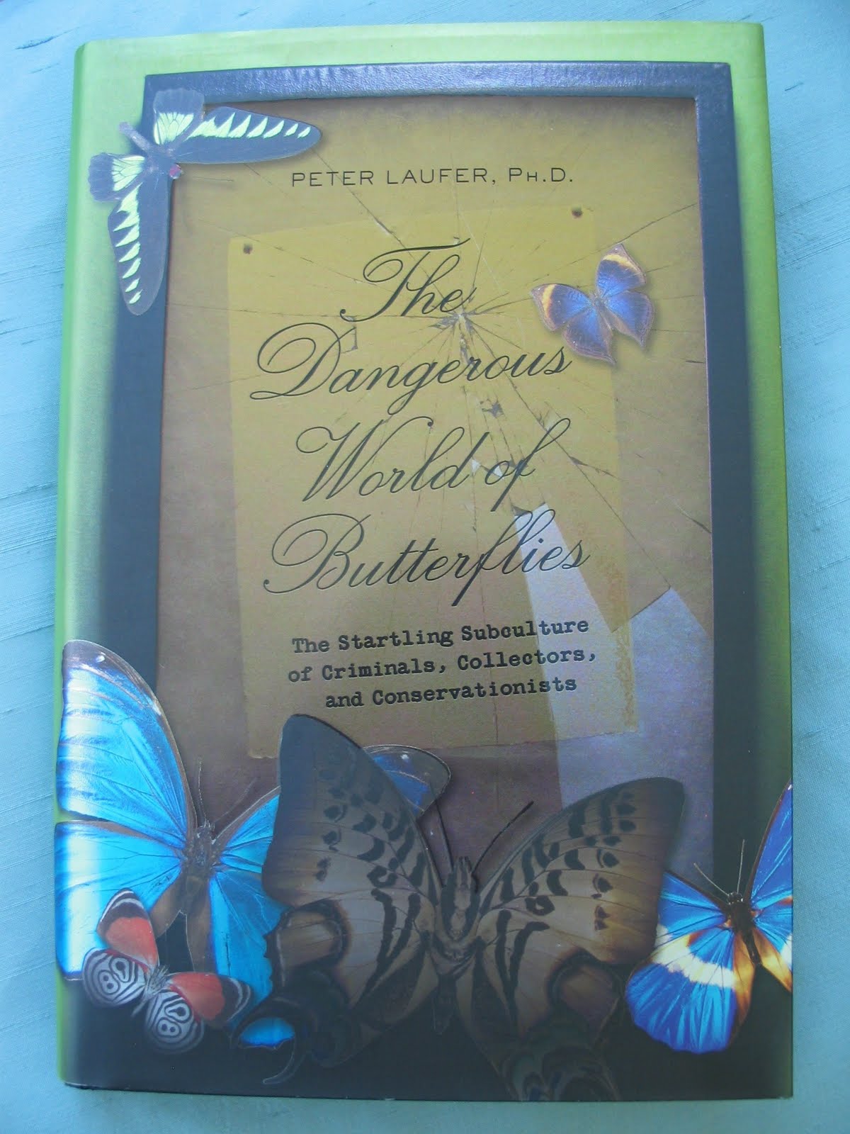 Butterfly Jungle Butterfly Books