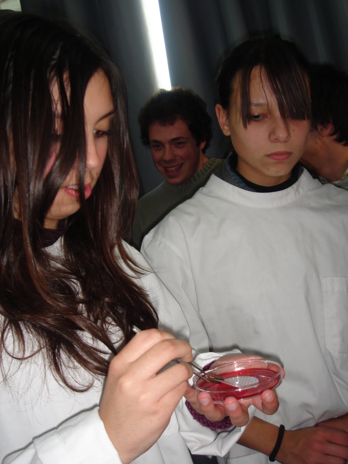 [DSC02133.JPG]