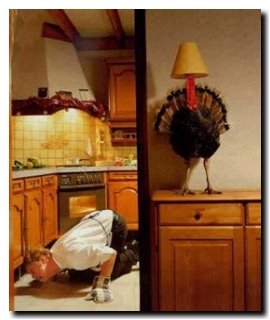[Pavo.jpg]