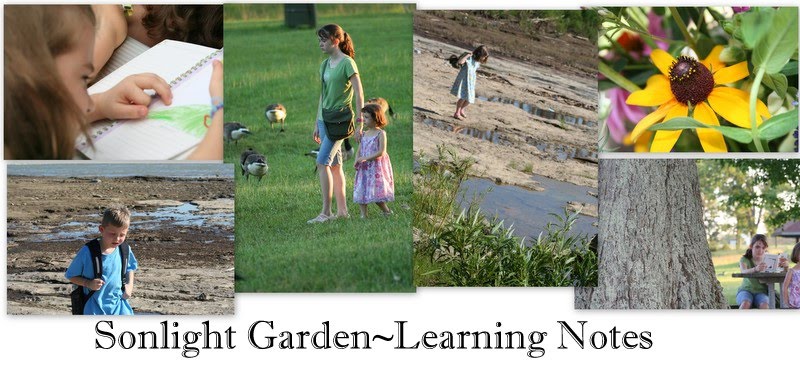 Sonlight Garden Learning Notes