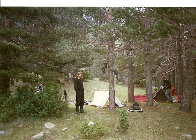 Camping in the Forest Col de l' Echelle