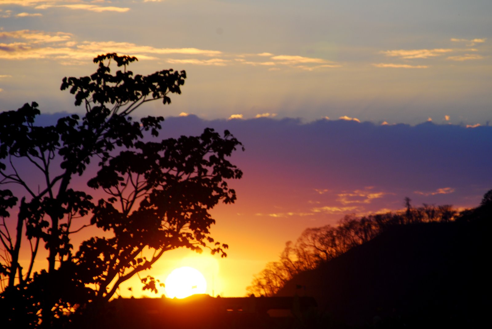 [DSC_0200.JPG]