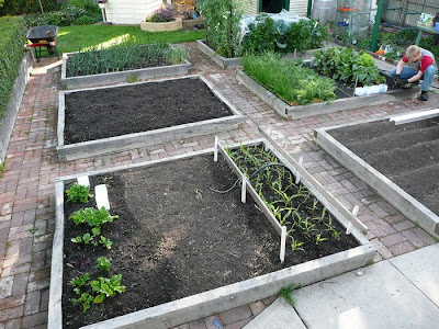 ZippyZippy: Veggie Patch Layout