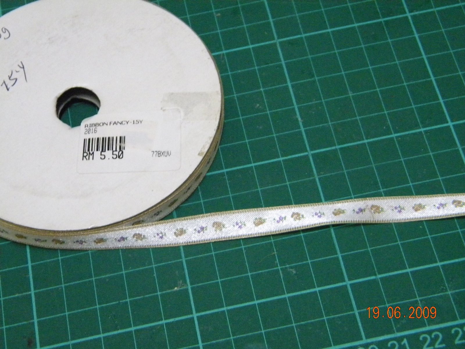 [DSCN0795.JPG]