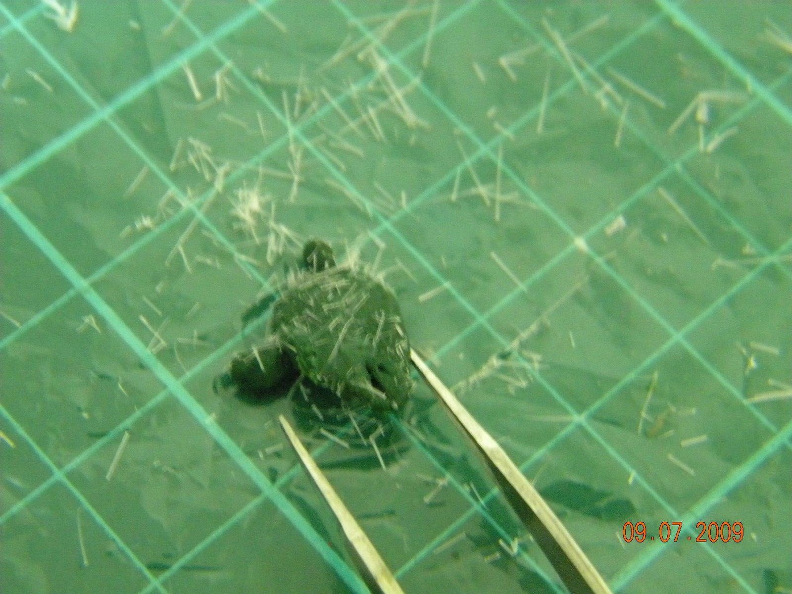 [DSCN0894.JPG]