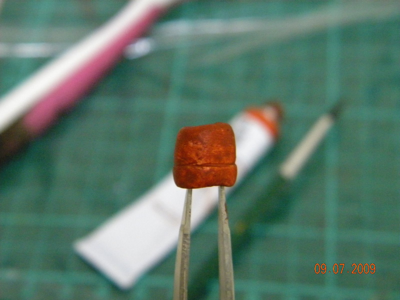 [DSCN0896.JPG]