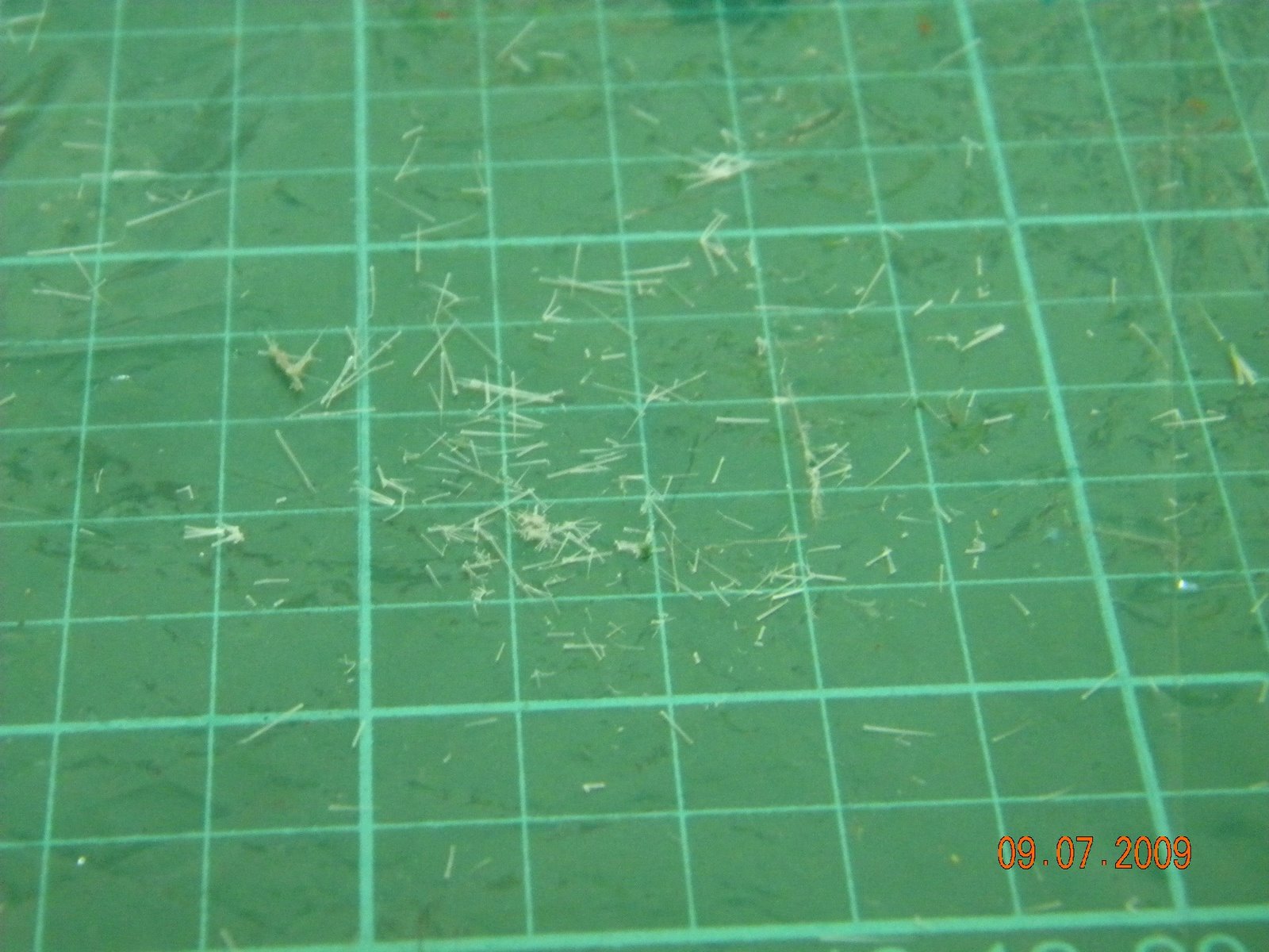 [DSCN0887.JPG]
