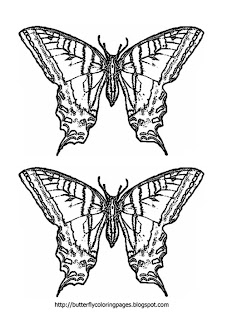 Printable Butterfly Coloring Pages Printable Butterfly Coloring Pages