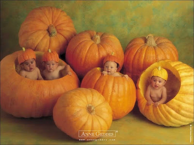 funny pumpkin pictures. Cute Baby With Pumpkin