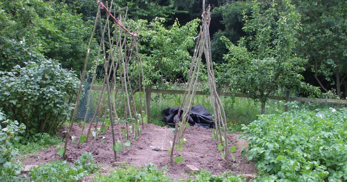 The Compost Bin Why I make compost.
