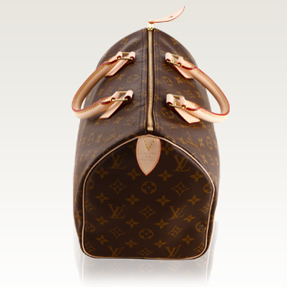 Louis Vuitton Speedy 30 (Monogram)