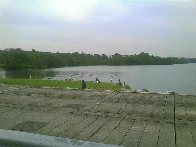 What the Fish! Yishun Dam Luring