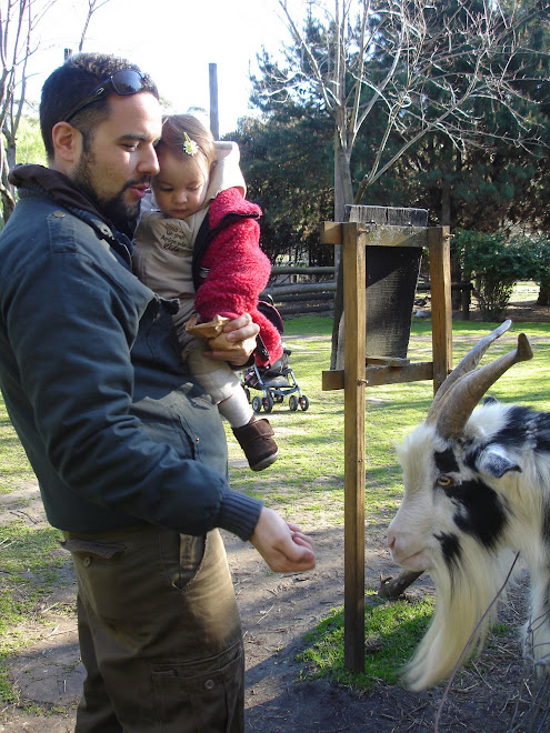 Alimentando cabras con papá