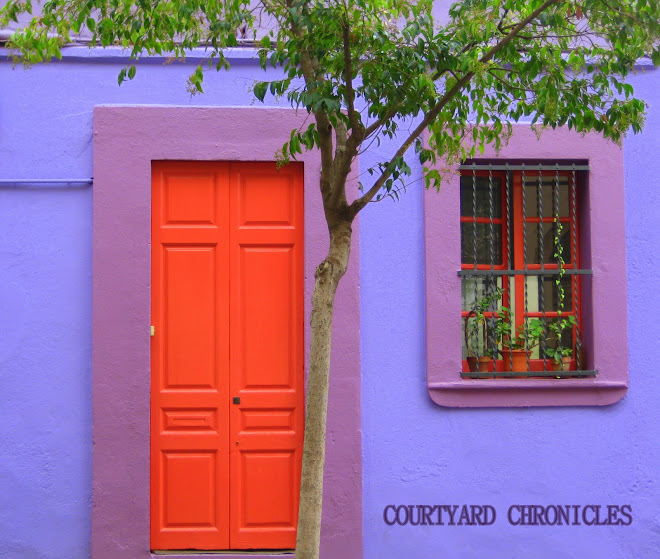 Courtyard Chronicles