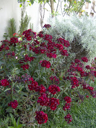 pormenores de fim de Primavera