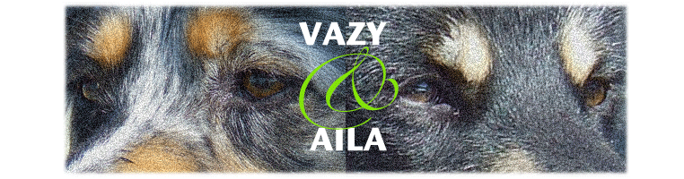 Vazy & Aila