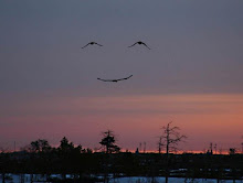 Have a nice day!!!