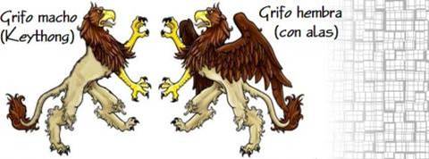 grifo que representa seres fant 225 sticos y mitol 243 gicos el grifo s 237 mbolo grifo que representa seres fant 225 sticos y mitol 243 gicos el grifo s 237 mbolo