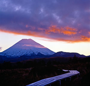 Canvas+prints+online+nz