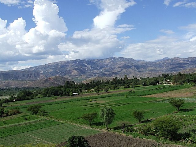 Cajabamba es la provincia con mayor producción regional