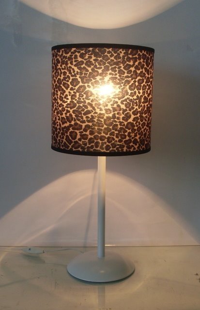 [SDC11678leopardo+mesa+2.JPG]