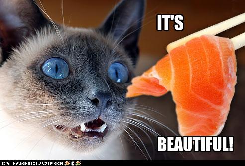 funny-pictures-cat-likes-salmon.jpg